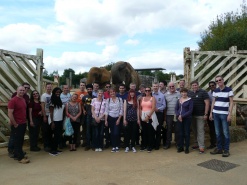 Billericay Office Team Building at Colchester Zoo