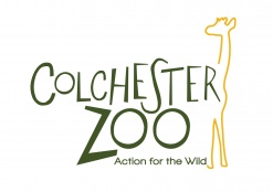 Staff go wild at Colchester Zoo!