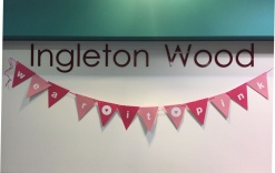 Ingleton Wood Wear it Pink!